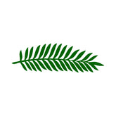 European Mountain Ash Leaf Vector Art