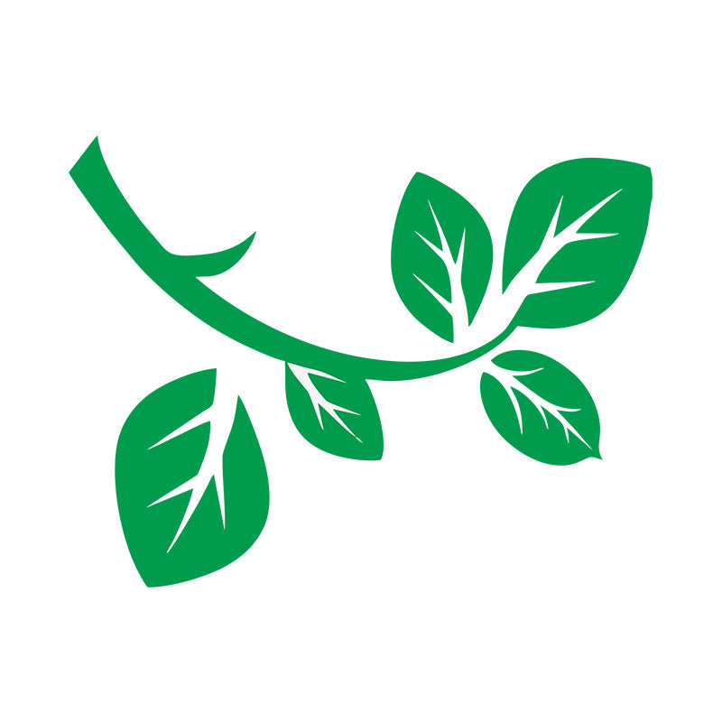 Box Elder Leaf Tree Branch Vector Art