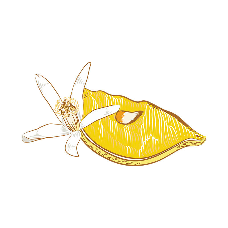 Juicy Lemon Sliced with Flower Vector Art