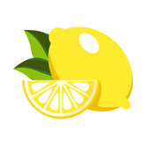 Succulence Fresh Lemon Vector Art