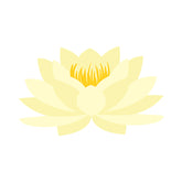 Eccentric Lotus Flower Vector Art