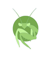 Green Ground Mantis Vector Art