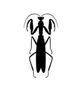 Praying Adorable Mantis Silhouette Art