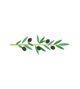 Olives Leaves Vector Art
