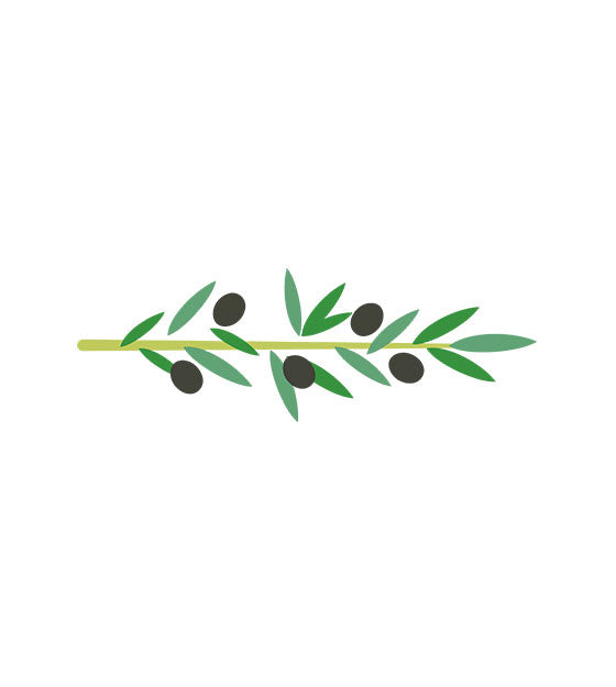 Olives Leaves Vector Art