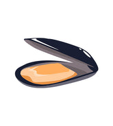 Oysters Shell Vector