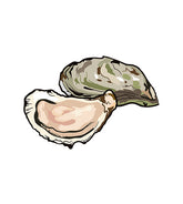 Oyster Vector Design
