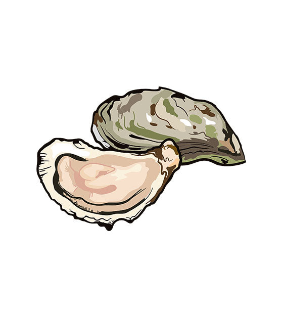 Oyster Vector Design