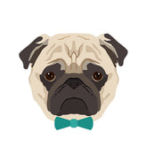 Pug Face Vector – Dog