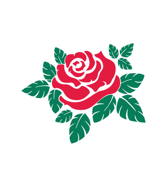 Rose and Leaves Vector