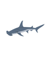 Shark Vector