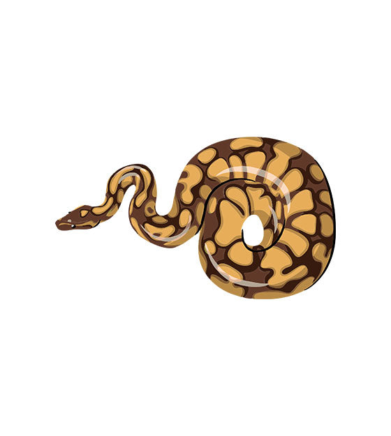 Python Snake Vector Art