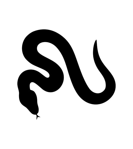 Snake Silhouette