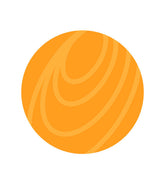 Venus Vector