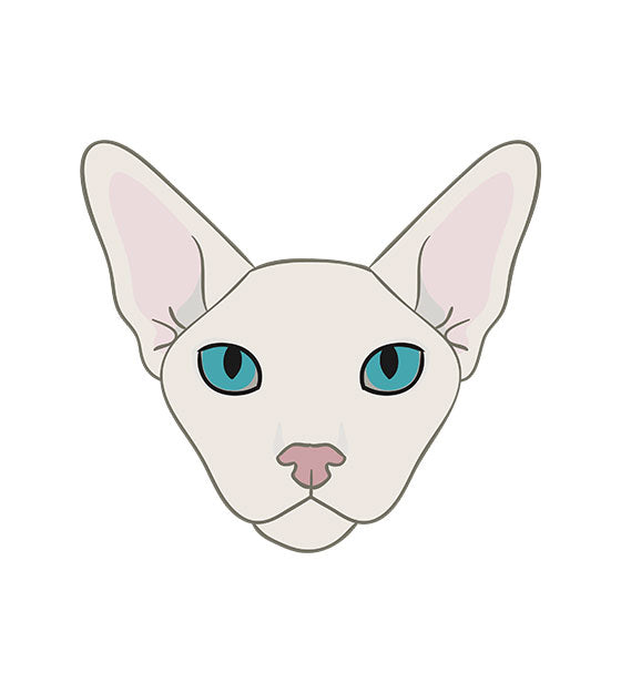Sphynx Face Vector Art