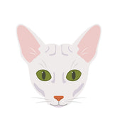 Sphynx Face Vector Design