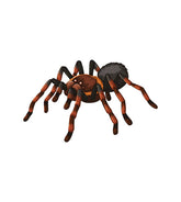 Spider Vector Art