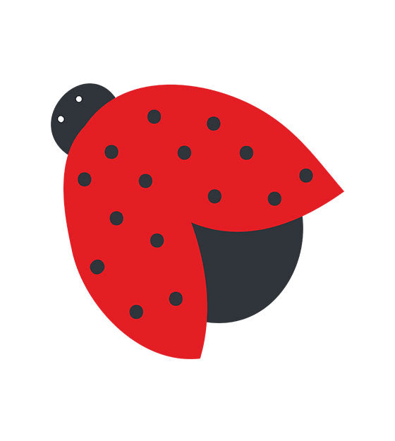 Ladybird Vector