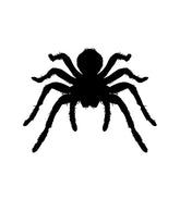 Spider Silhouette