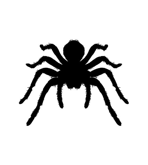 Spider Silhouette