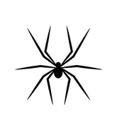 Spider Silhouette Art