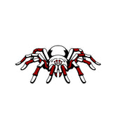 Tarantula Vector