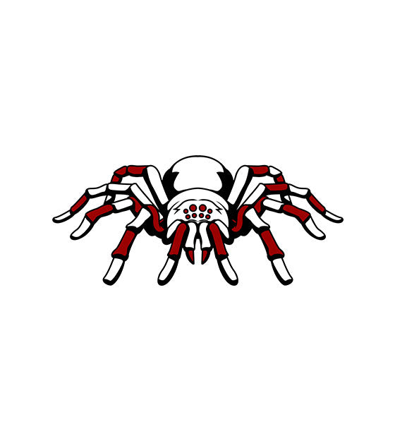 Tarantula Vector