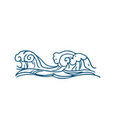 Waves Vector