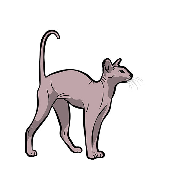 Devon Rex Vector Design