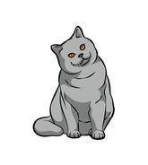 British Short Hair Cat Vector