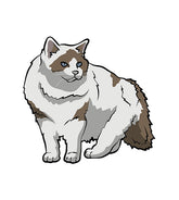 Ragamuffin Cat Vector
