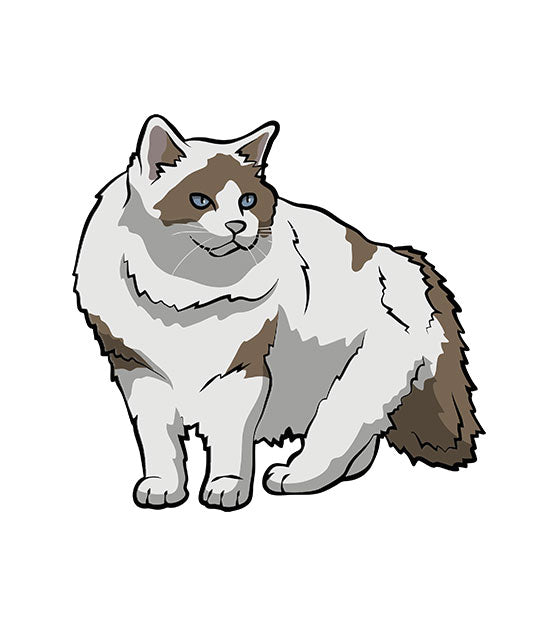 Ragamuffin Cat Vector