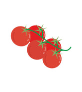 Tomatoes Vector