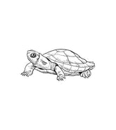 Captivating Turtle Walking Sketch Vector Art