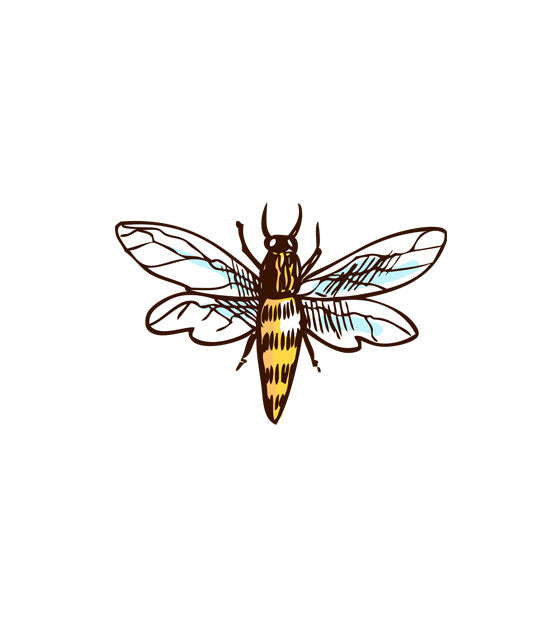 Beautiful Sketch Wasp Vector