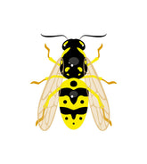 German Wasp Vector Art