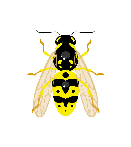 German Wasp Vector Art