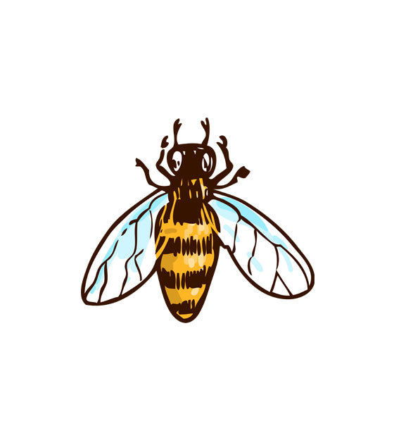 Fascinating Hand Drawn Wasp Vector
