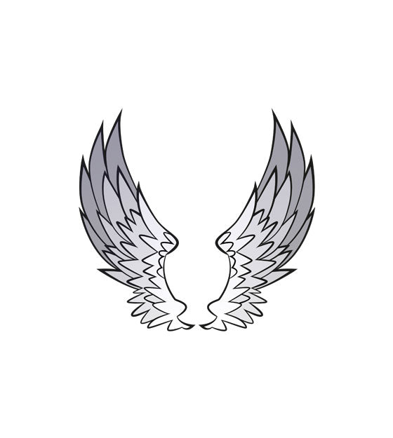 Enamoring Angelic Wings Vector Art