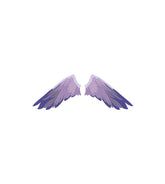 Exotic Angelic Wings Vector Art