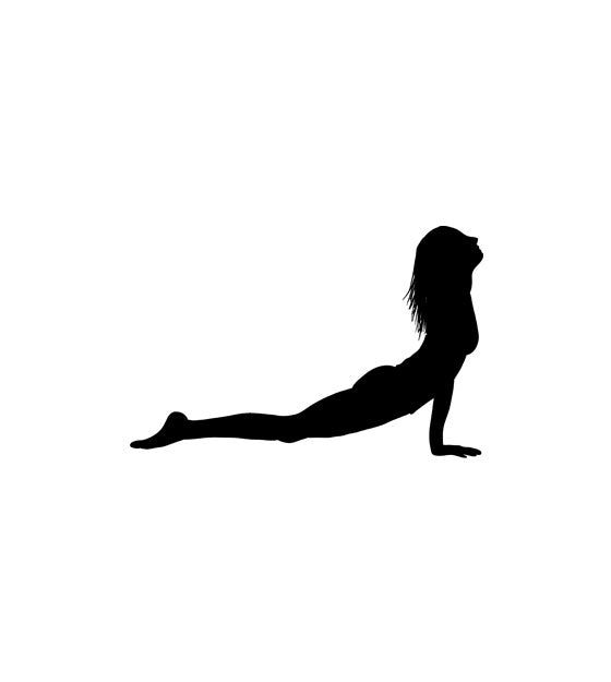 Bhujangasana Position Yoga Poses Silhouette Art