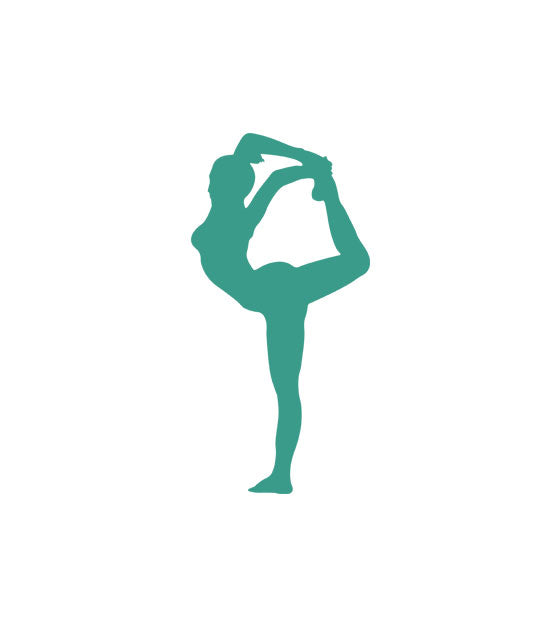 Fantastic King Dancer Pose Vector Art