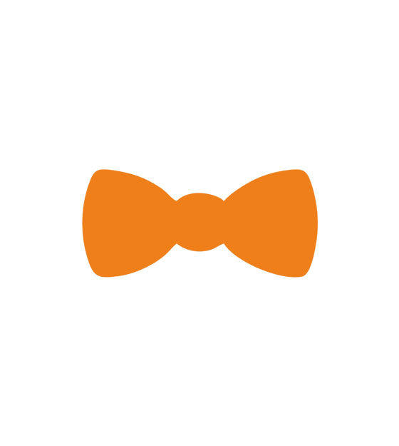 Alluring Orange Satin Bow Tie Vector Art