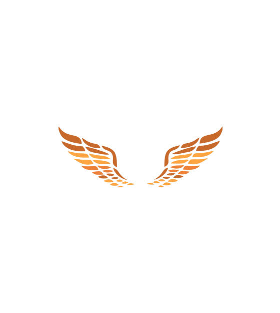 Captivating Orange and Brown Pegasus Wings Vector Art