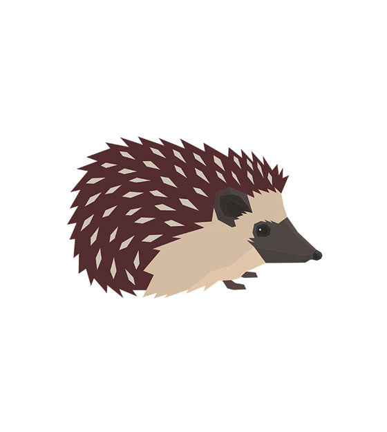 Desert Hedgehog Vector