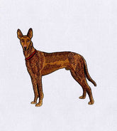 Pharaoh Hound Embroidery Design