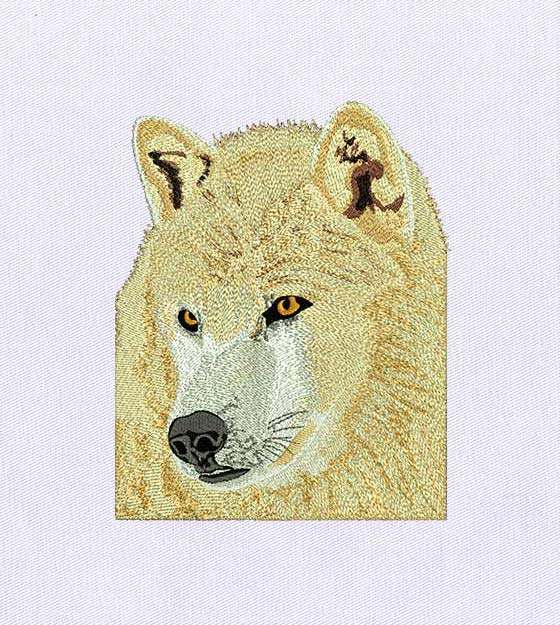 Alluring Regal Wolf Embroidery Design