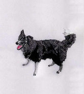 Pet Animal Machine Embroidery File – Dog