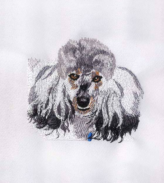 Poodle Embroidery Design – 4x4 Dog PES Embroidery File
