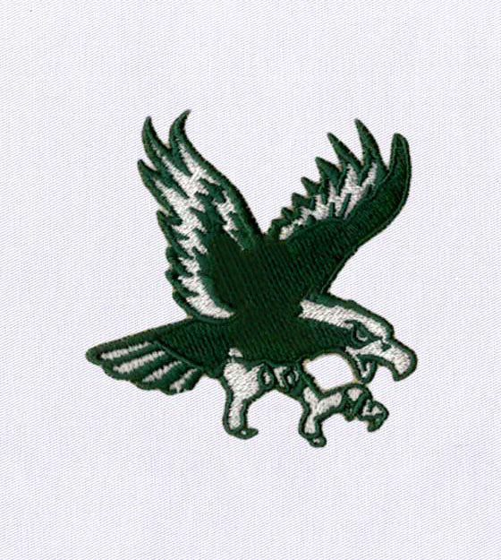 Wild Soaring Eagle Embroidery Design